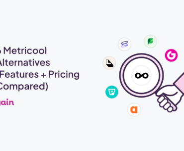 metricool alternatives